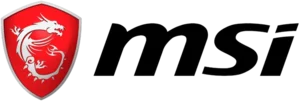 MSI